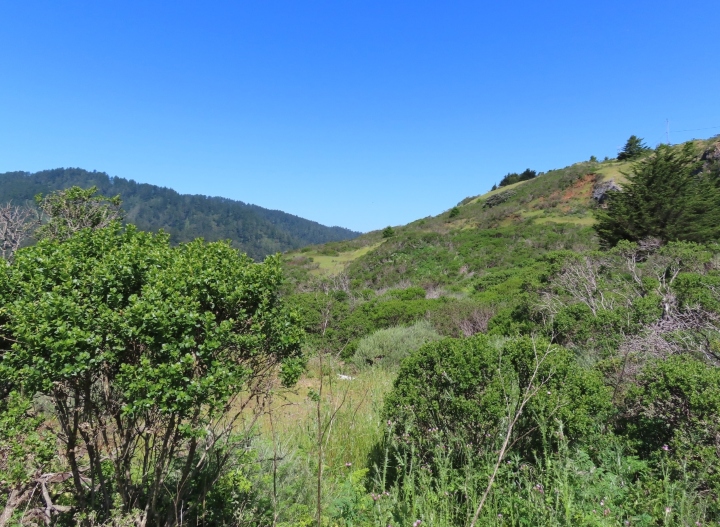Herp Habitat